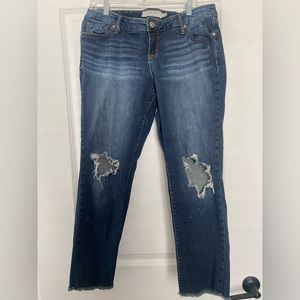 Torrid Women’s Dark Blue Jeans